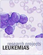 leukemias