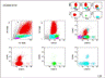 CD38_CD10SMALL.gif