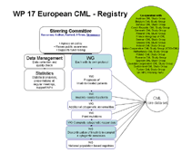 Organigram of Project 17: Registries