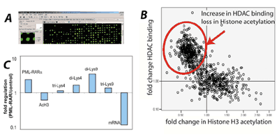 Fig2.gif